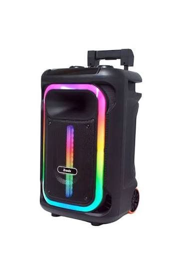 BTS 1928 Tasinabilir Sarjli 12 INC 100 W Karaoke