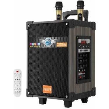 BTS 2102 33 W Karaoke Subwoofer Cift Mikrofonlu TA